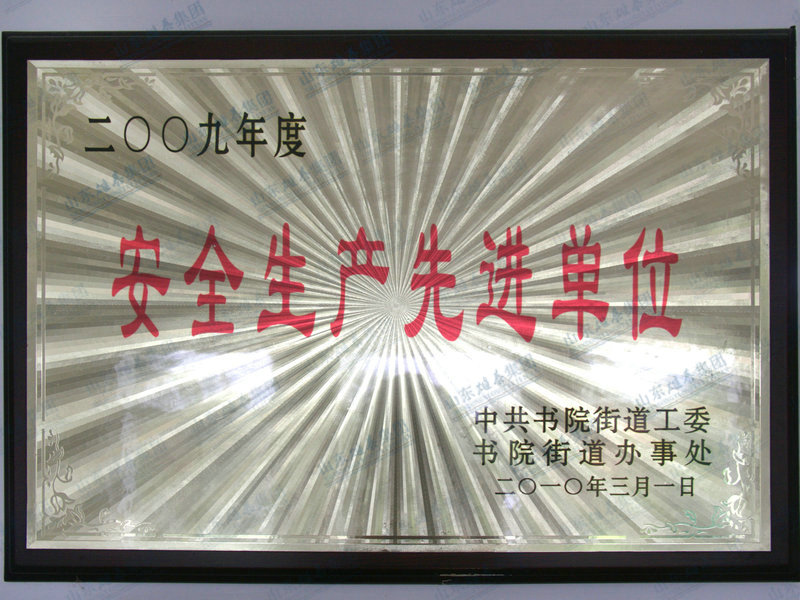 资质声誉 (9).jpg